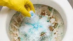 トイレの尿石は1時間で除去：食器洗い機用タブレットを使った簡単な方法