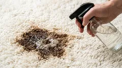 カーペットのシミや汚れは跡形もなく消えます：ドライクリーニングなしで簡単に