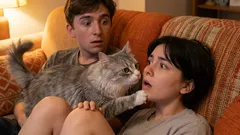 猫を甘やかしすぎているかどうかを見分ける方法:これらの間違いを繰り返さないで!