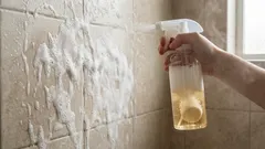 奇跡の手段：なぜ皆が食器洗い機用タブレットで浴室を掃除するのか