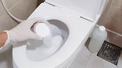 15分で手間いらず、便器の水垢やサビをきれいに除去:業者を呼ばず、高額な費用もかからない方法