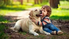 犬の品種が飼い主の性格について語るもの