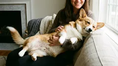 犬を抱きしめる前に知りたい、ハグがストレスになりやすい理由と見分け方